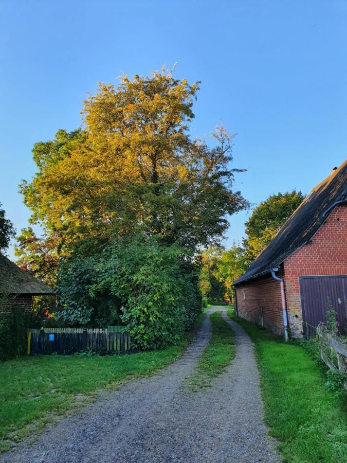Villa Ostssespitze Riepsdorf Exterior foto